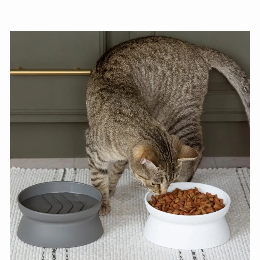 Modern Cat Food and Water Bowl Set - Gray and White